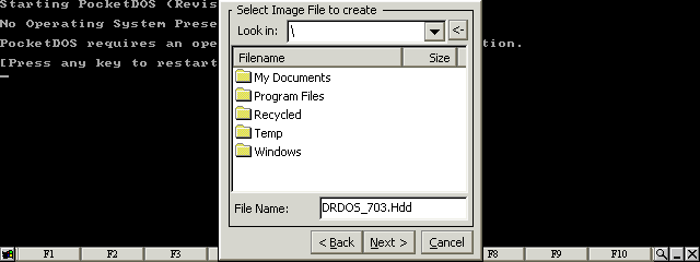 Enter a file name for the disk image and then press the Next button