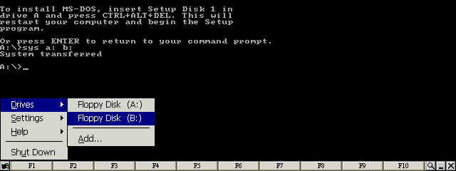 Select the Floppy Disk (B:) item from the Drives menu